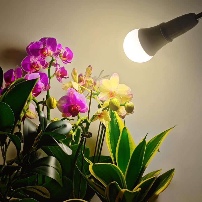 WEEGrow LED Grow Light Bulb A19 - Full Spectrum E26 Base, 11W (100W Equivalent) for Indoor Plants, Flowers, Greenhouse - 2 Pack - Image 2